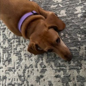 Meet your Posher, Marla